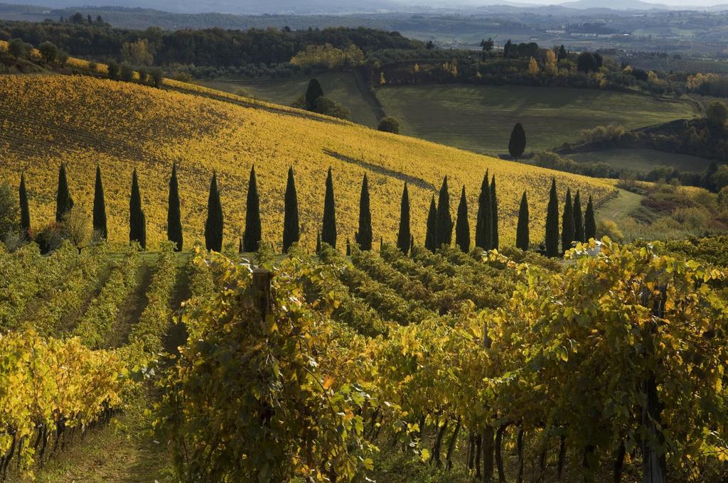 Agriturismo Campo Lungo San Donato in Poggio Cameră foto